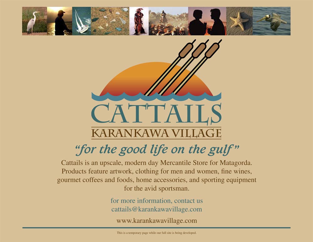 Cattails-WebSite