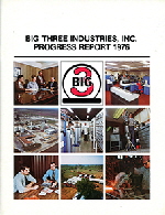 Big-3-Annual-Report